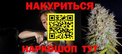 сатива Краснодар