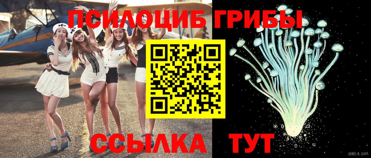 Галлюциногенные грибы MAGIC MUSHROOMS  Вход с VPN  купить наркоту  Псилоцибиновые грибы мухоморы  Киселёвск 
